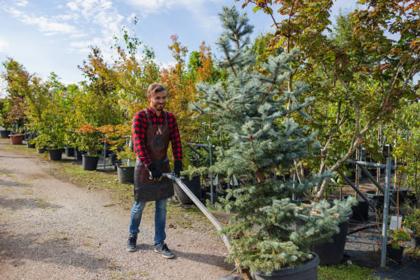 Best Landscape Design and Installation  in Baudette, MN